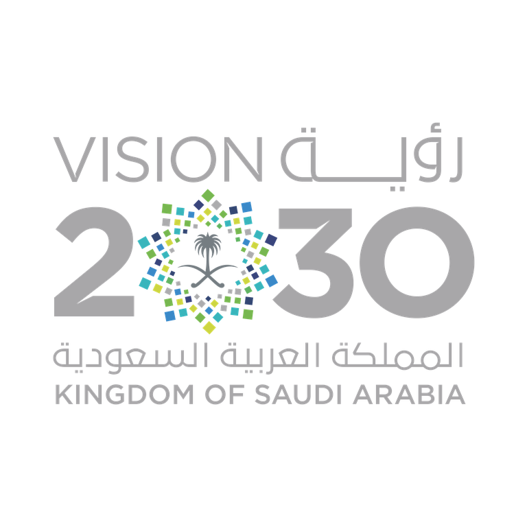 Vision 2030